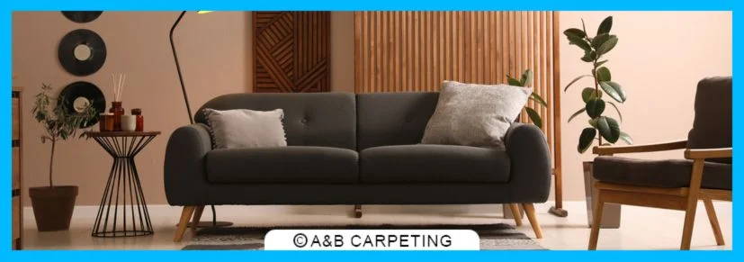 Professional Upholstery Cleaning Process
